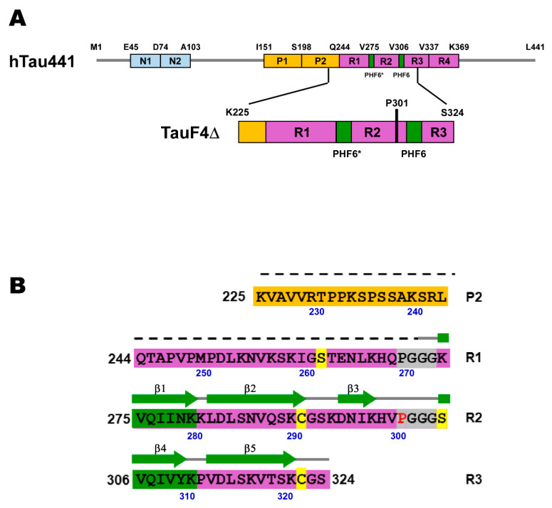 PMC7313075 – ijms-21-03920-f001