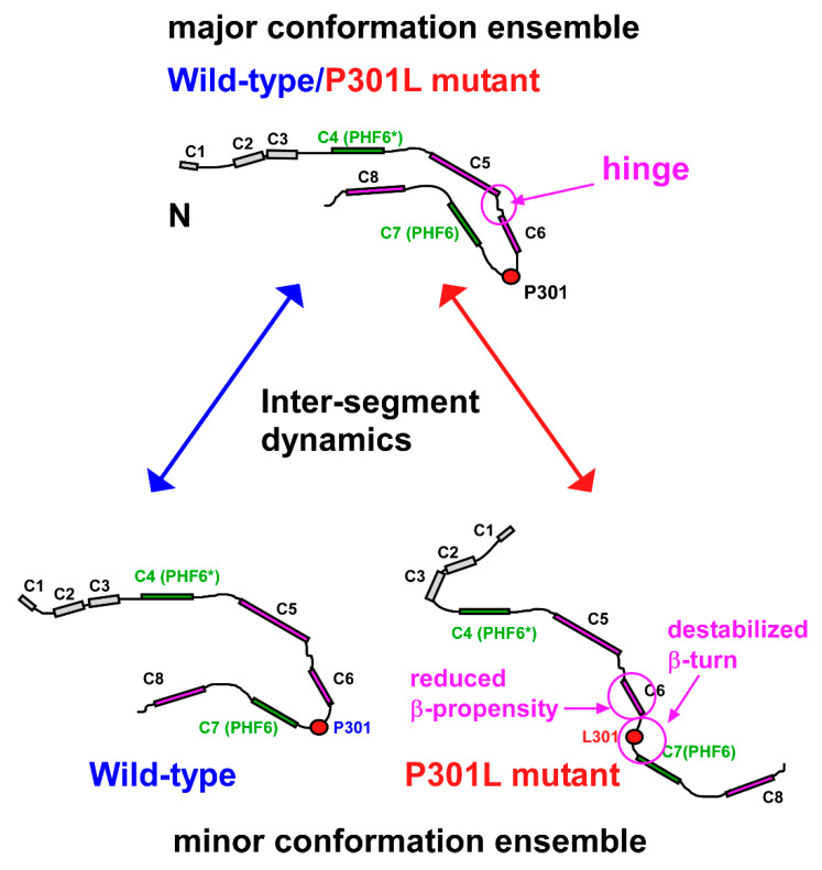 PMC7313075 – ijms-21-03920-f008