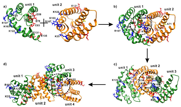 PMC7352312 – ijms-21-04466-f008