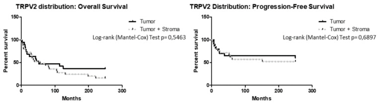 PMC7432565 – ijms-21-05409-f004