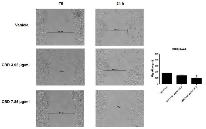 PMC7432565 – ijms-21-05409-f012
