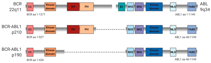 PMC7460962 – ijms-21-05776-f001