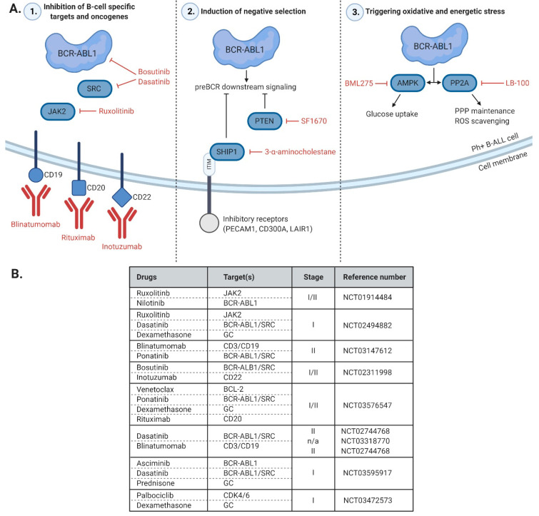 PMC7460962 – ijms-21-05776-f002