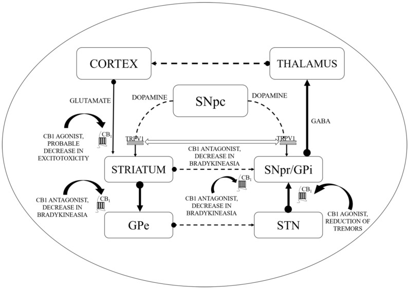 PMC7504186 – ijms-21-06235-f001