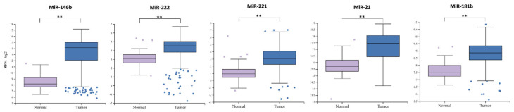 PMC7503340 – ijms-21-06445-f001