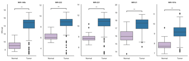PMC7503340 – ijms-21-06445-f002