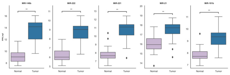PMC7503340 – ijms-21-06445-f003