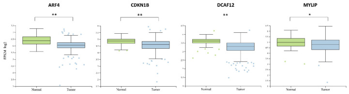 PMC7503340 – ijms-21-06445-f006