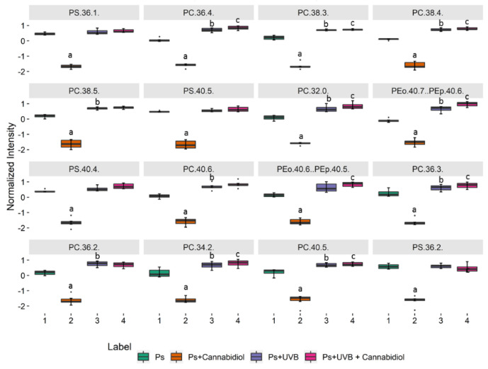 PMC7555222 – ijms-21-06592-f006