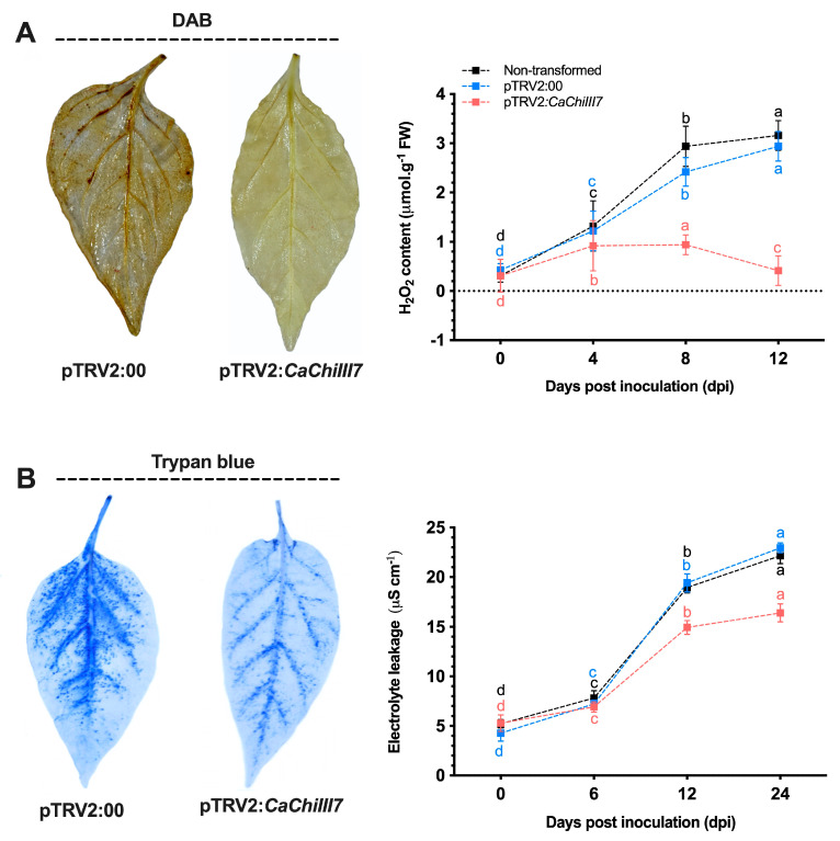 PMC7555800 – ijms-21-06624-f006