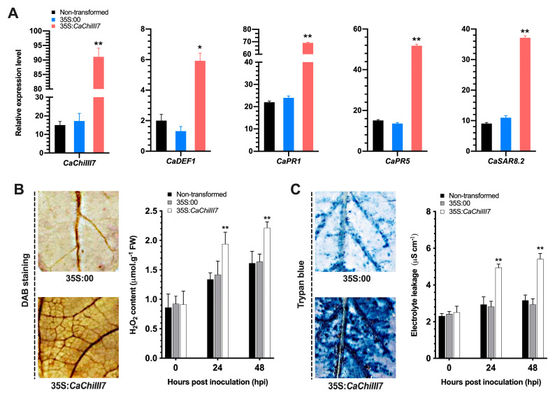 PMC7555800 – ijms-21-06624-f008