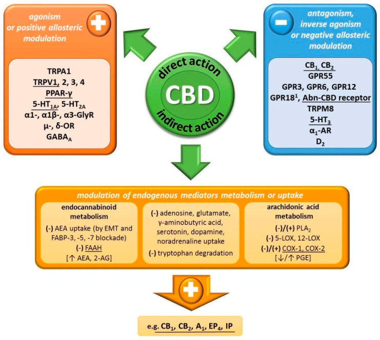 PMC7554803 – ijms-21-06740-f002