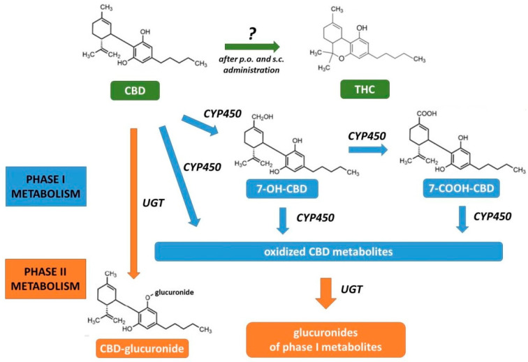 PMC7554803 – ijms-21-06740-f003