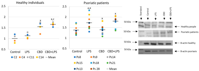 PMC7554718 – ijms-21-06795-f002
