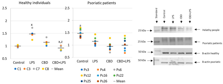 PMC7554718 – ijms-21-06795-f005