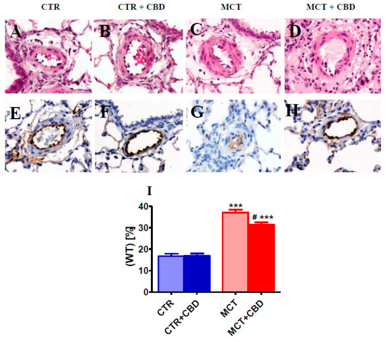 PMC7582795 – ijms-21-07077-f002