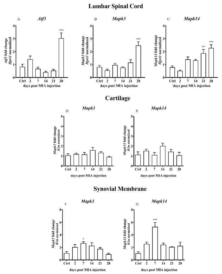 PMC7582975 – ijms-21-07381-f002