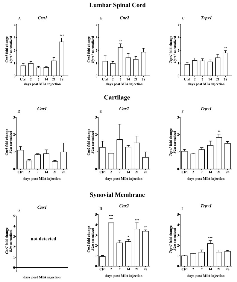 PMC7582975 – ijms-21-07381-f003