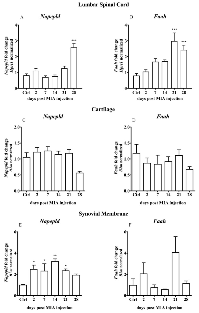 PMC7582975 – ijms-21-07381-f004