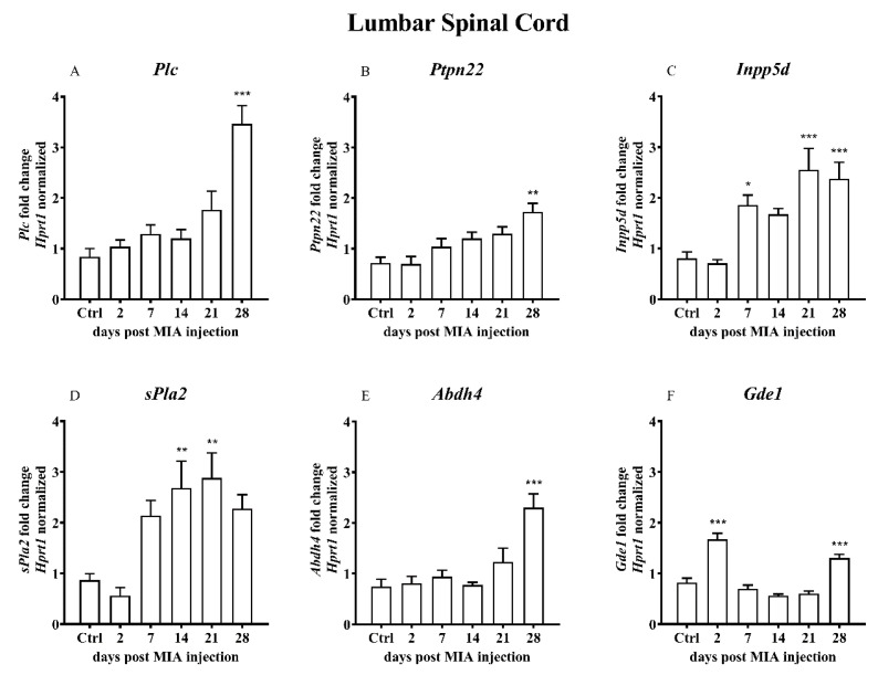 PMC7582975 – ijms-21-07381-f005