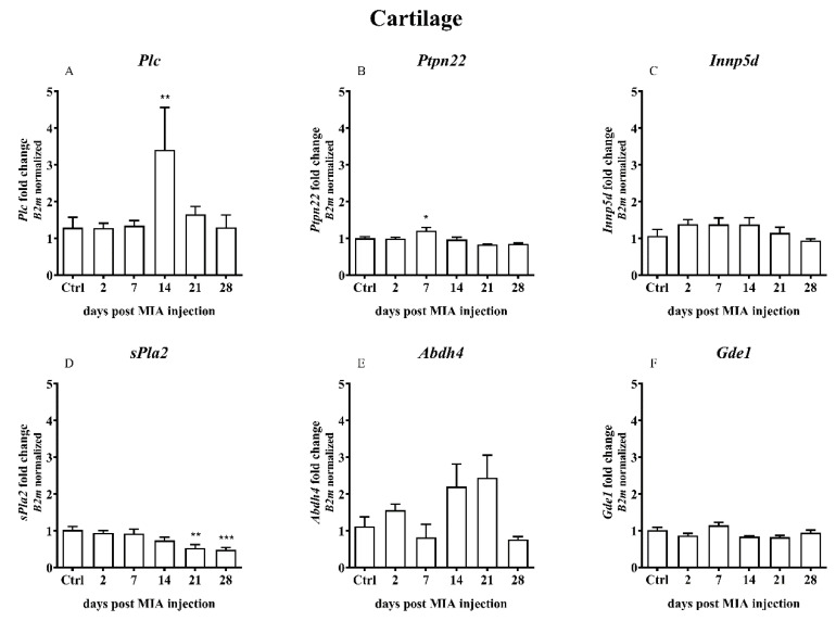 PMC7582975 – ijms-21-07381-f006