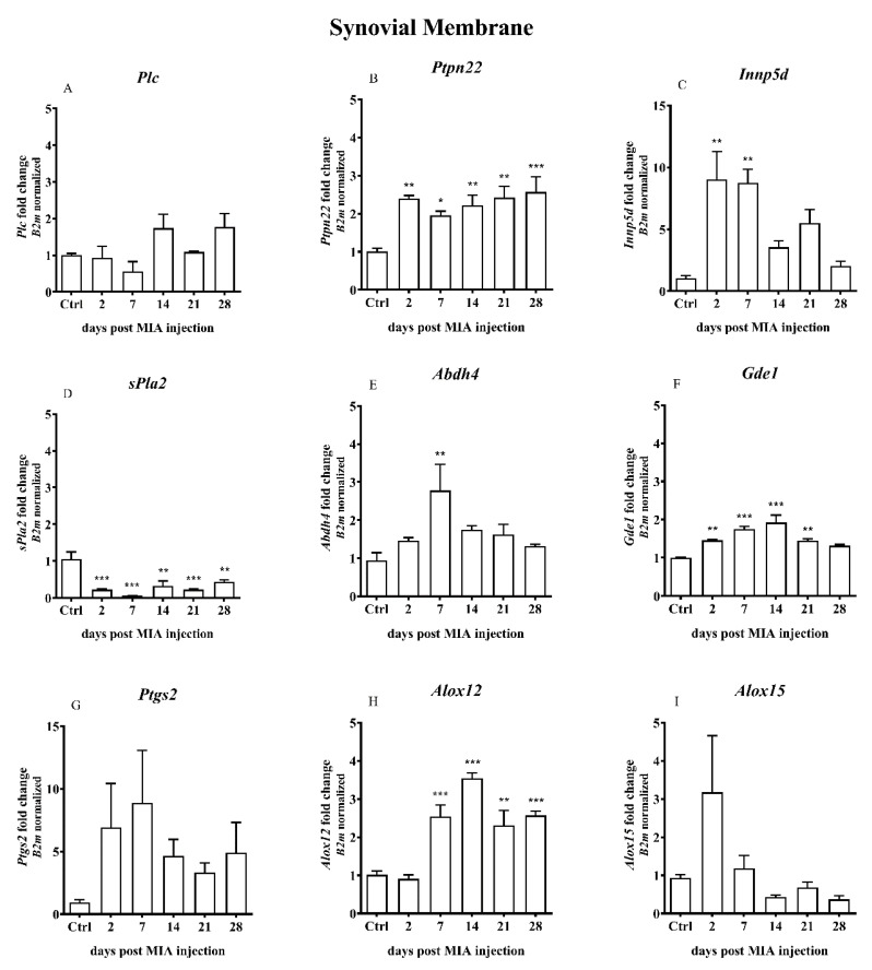 PMC7582975 – ijms-21-07381-f007