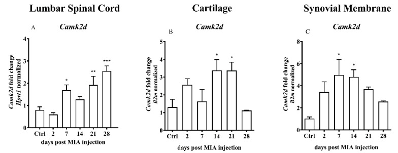 PMC7582975 – ijms-21-07381-f008