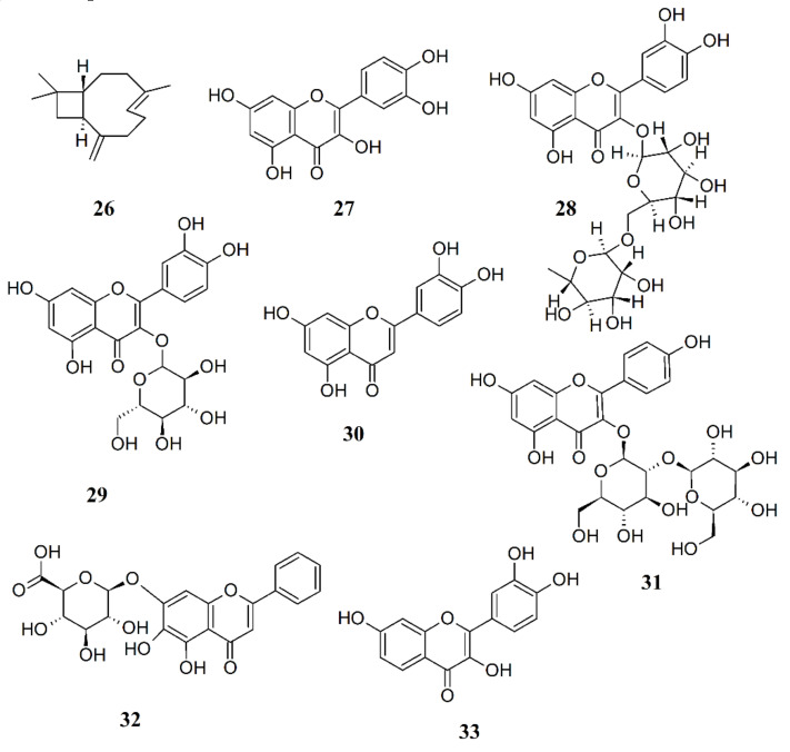 PMC7660651 – ijms-21-07877-f007
