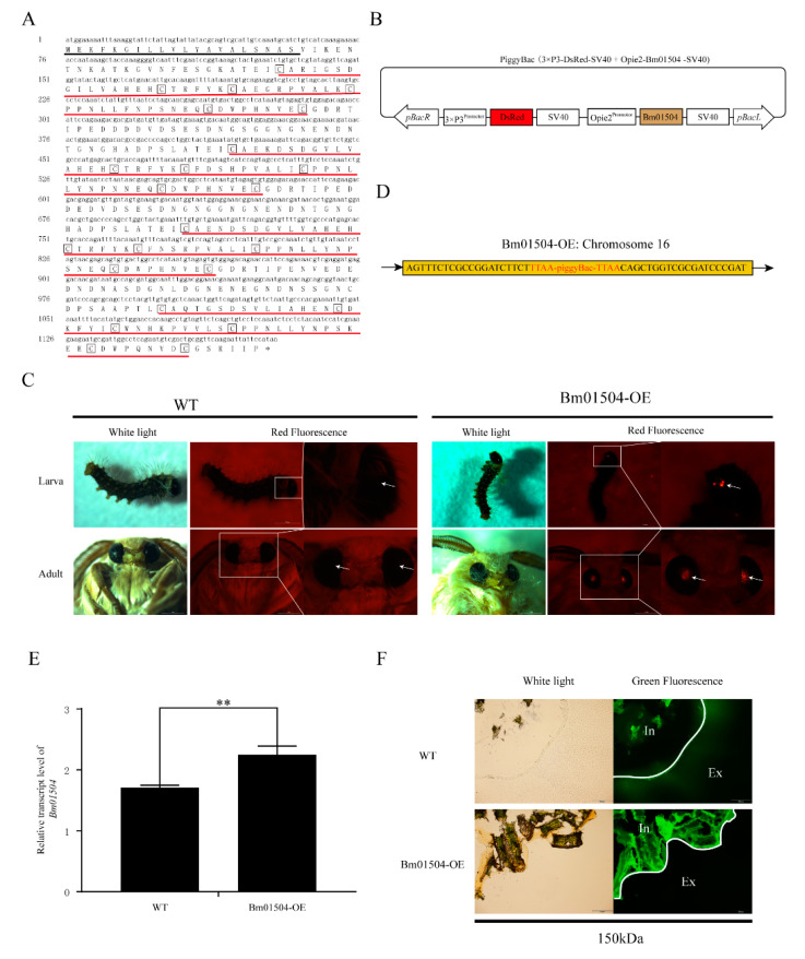 PMC7663561 – ijms-21-07973-f004