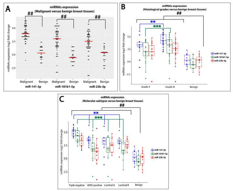 PMC7697480 – ijms-21-08589-f001