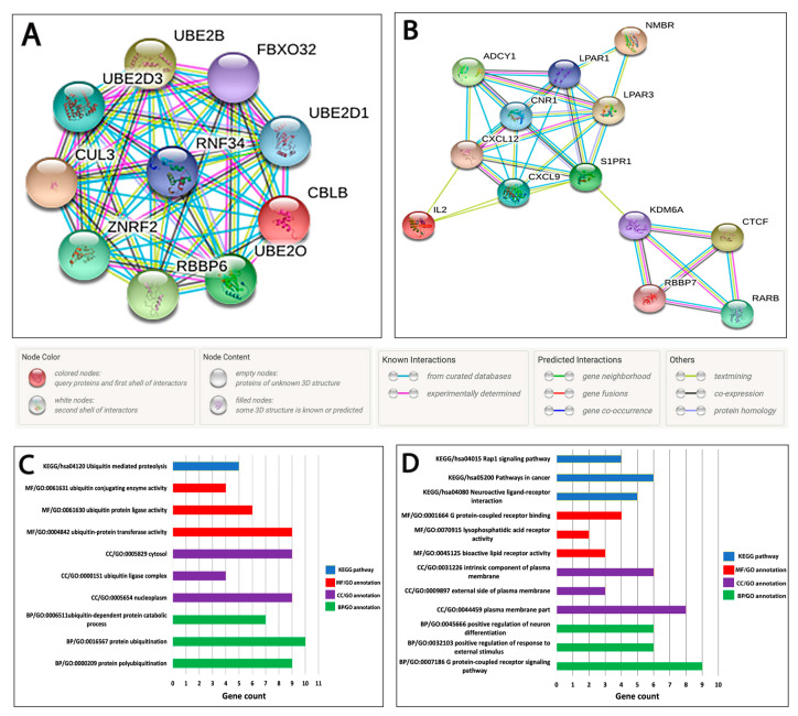 PMC7697480 – ijms-21-08589-f003