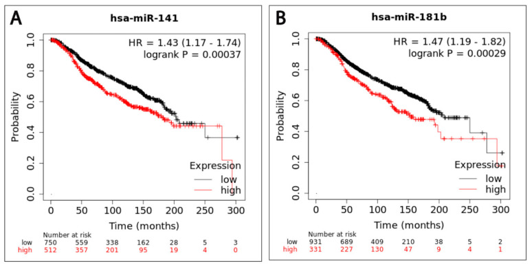 PMC7697480 – ijms-21-08589-f004