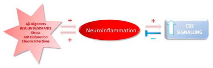 PMC7699542 – ijms-21-08751-f003