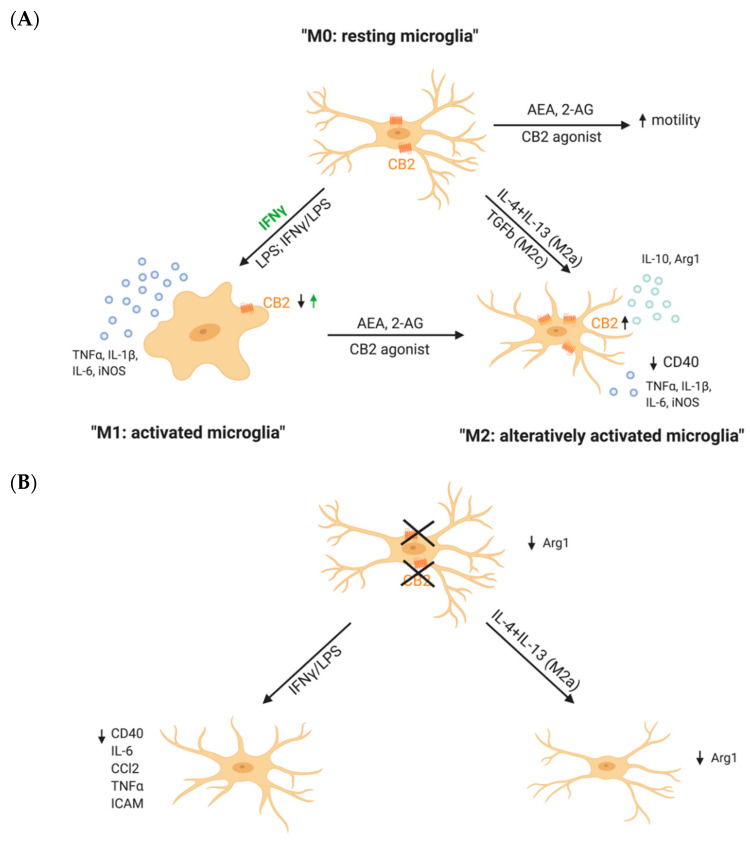 PMC7792761 – ijms-22-00019-f002