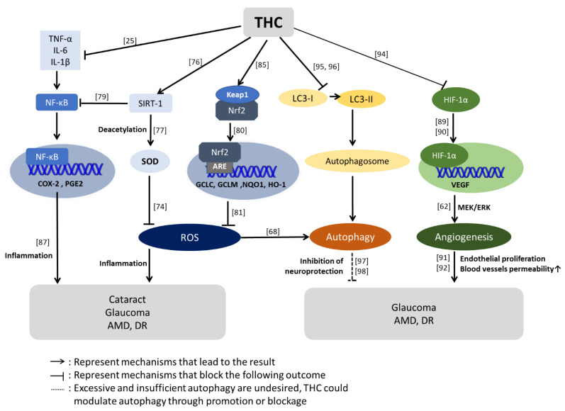 PMC7795090 – ijms-22-00212-f004