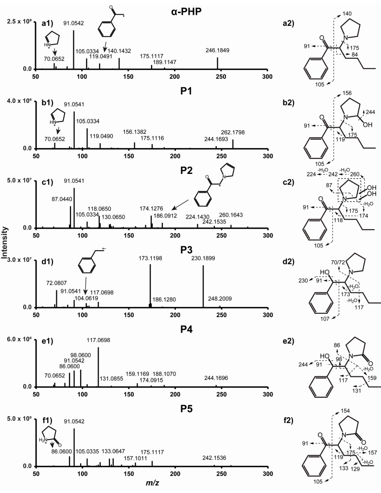 PMC7796222 – ijms-22-00230-f002