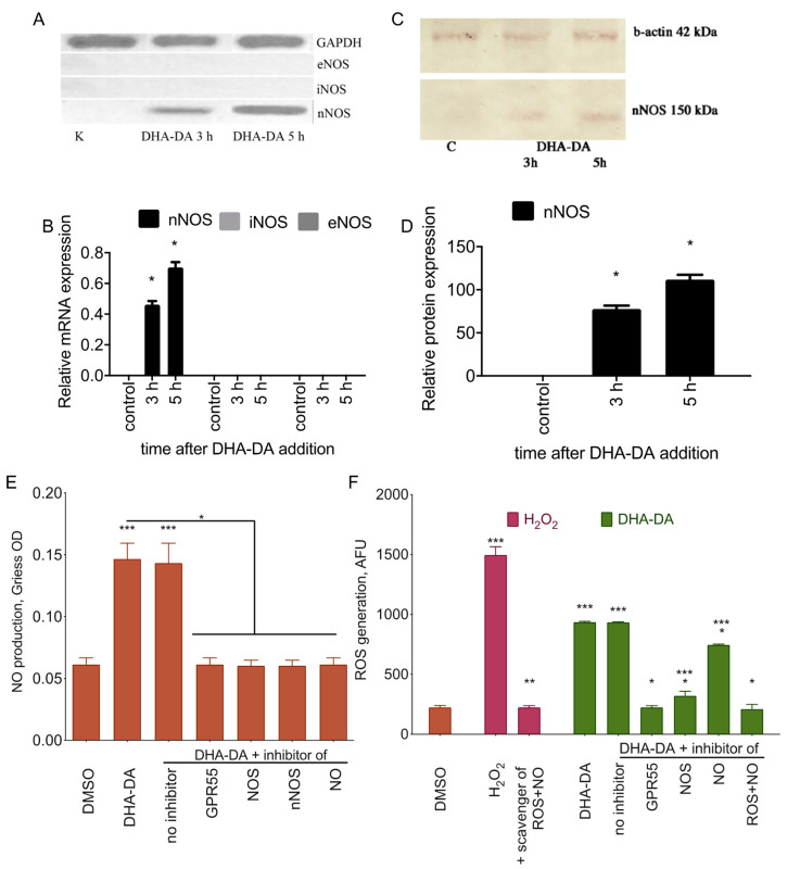 PMC7826688 – ijms-22-00622-f007