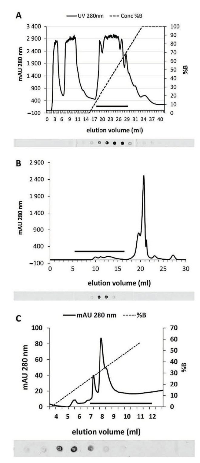PMC7829918 – ijms-22-00851-f002