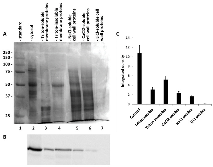 PMC7829918 – ijms-22-00851-f004