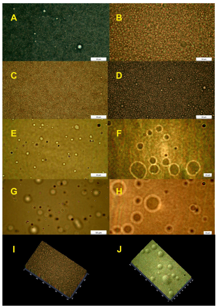 PMC7830832 – ijms-22-00887-f008