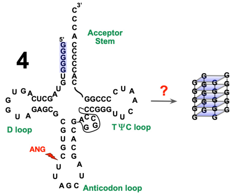 PMC7867098 – ijms-22-01439-f001