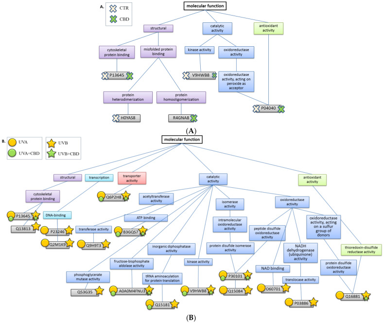 PMC7867360 – ijms-22-01501-f008