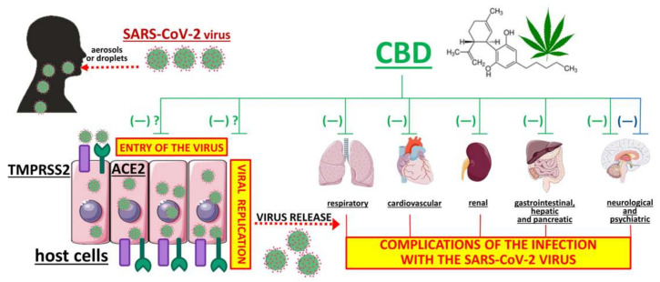 PMC7922403 – ijms-22-01986-f003