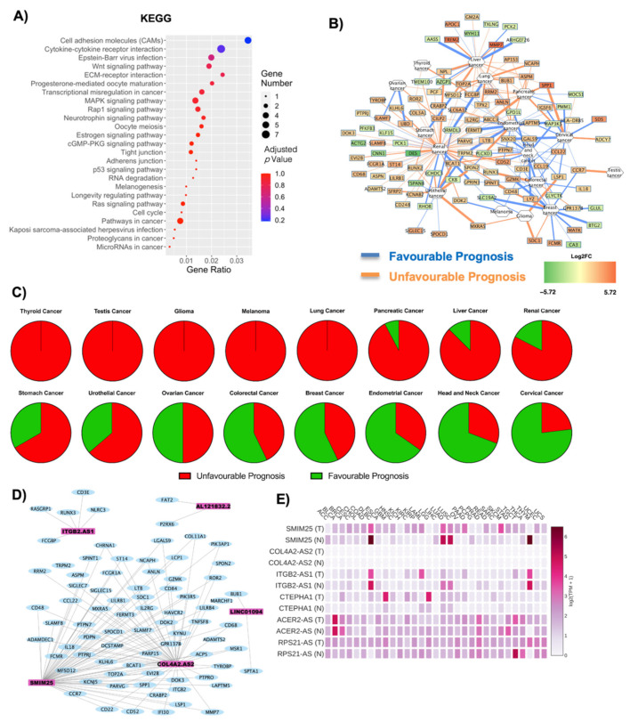 PMC7922682 – ijms-22-01989-f003