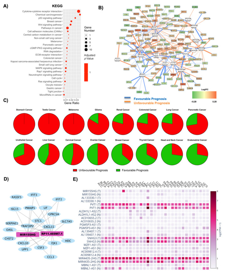PMC7922682 – ijms-22-01989-f004