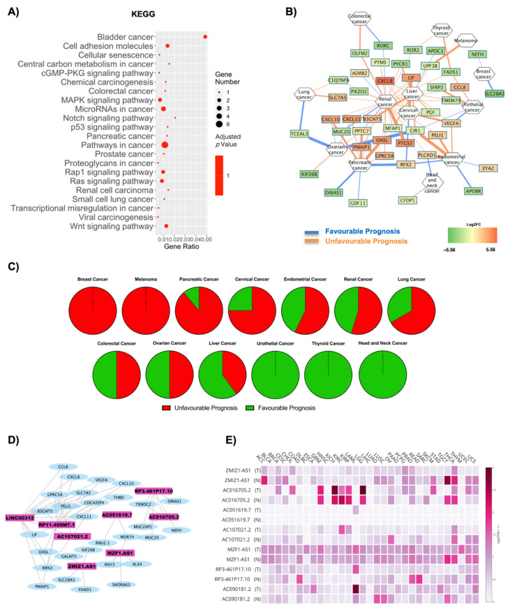 PMC7922682 – ijms-22-01989-f005