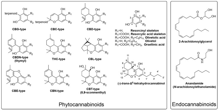 PMC7957758 – ijms-22-02454-f001
