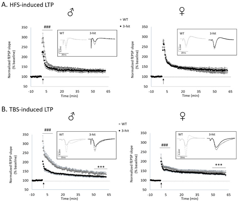 PMC7961987 – ijms-22-02644-f002