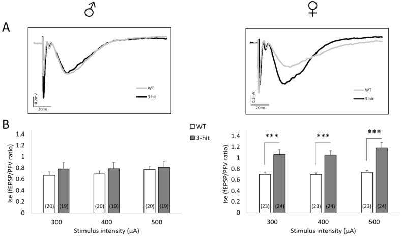 PMC7961987 – ijms-22-02644-f003