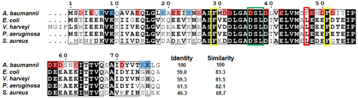 PMC8036411 – ijms-22-03317-f001